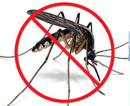 comment se protéger contre les moustiques